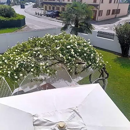Griselda Santa Cristina (Treviso)